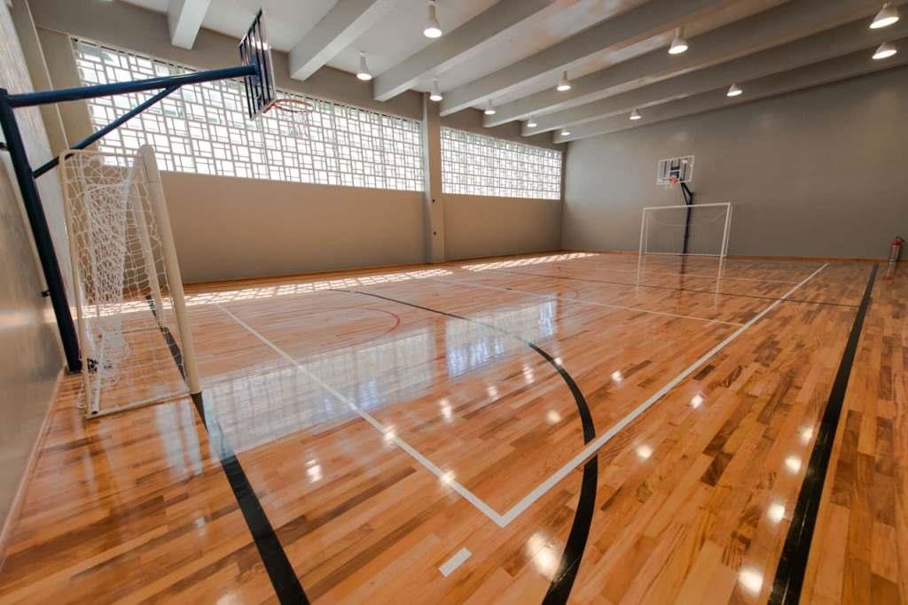 Bellini – Ibirapuera